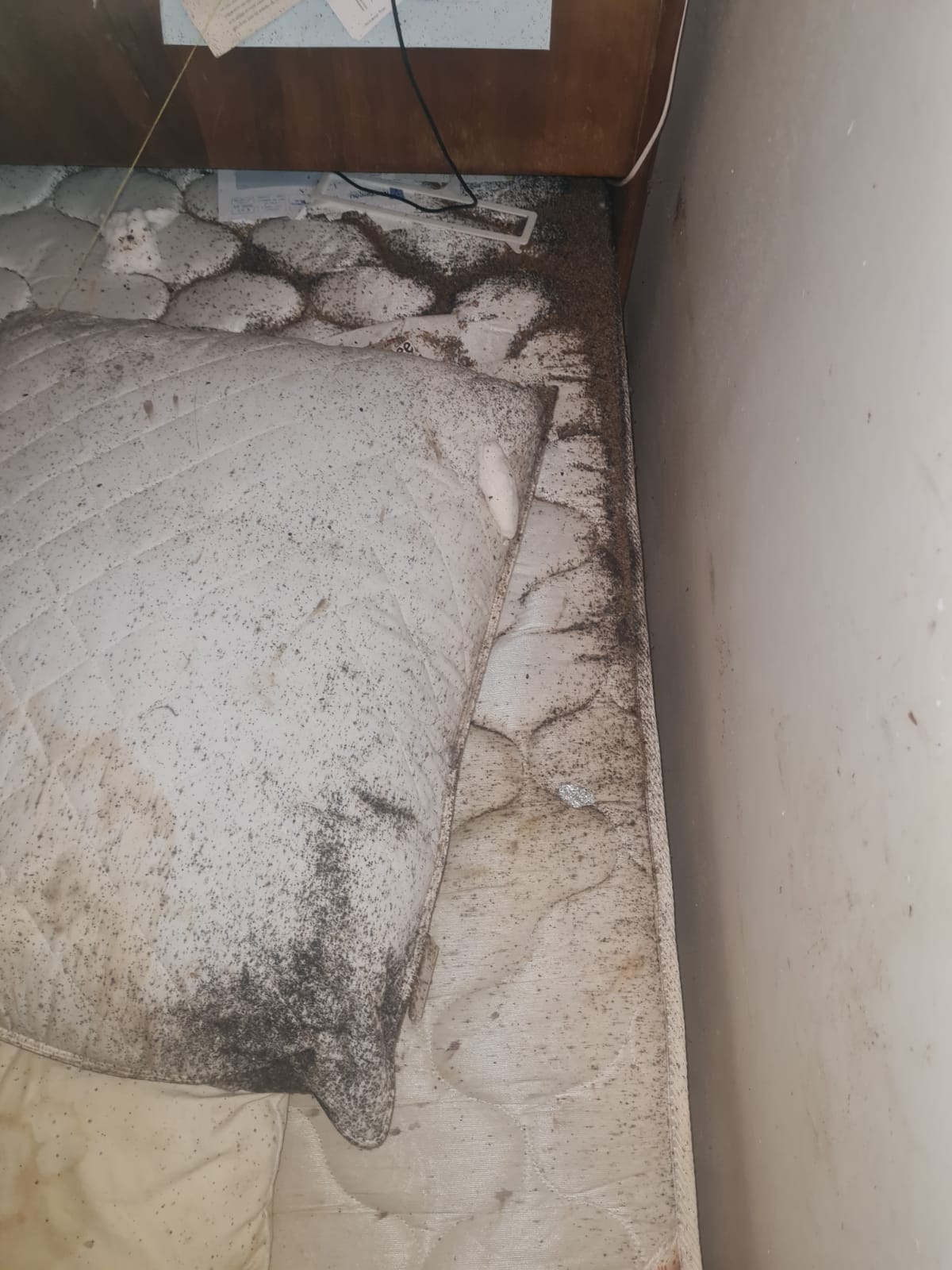 PHOTO 2024 09 05 12 45 12