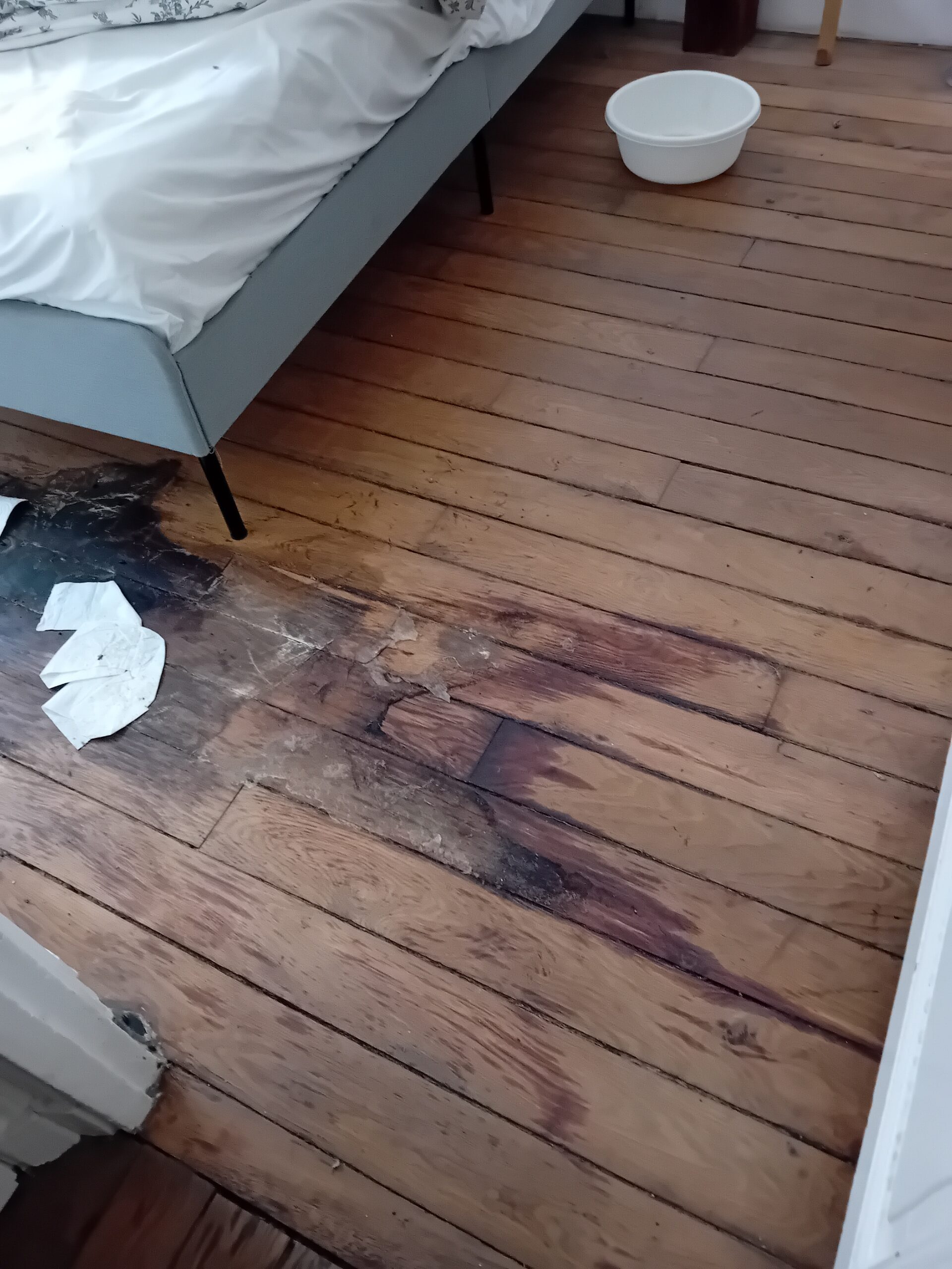 Pierre Chambre 1 Scaled